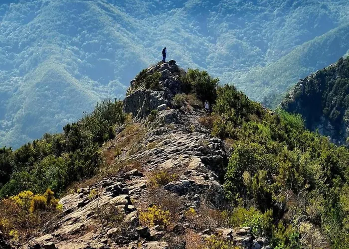 Casa Judit Holiday home